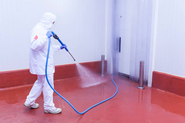 Best Post-Construction Pressure Washing  in Leesburg, FL