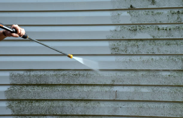 Animal Enclosure Cleaning in Leesburg, FL